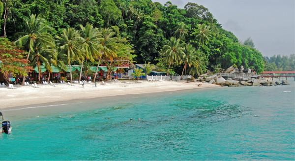 7岁男孩在三亚一景区被旅游大巴车碾压致死，当地多部门介入调查