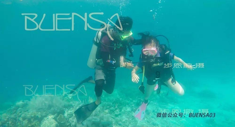 我省白杨派山杨新品种“立阳”获国家植物新品种授权