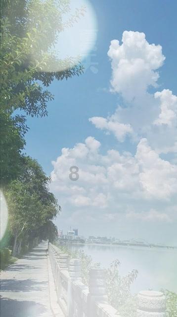 救援鹦鹉